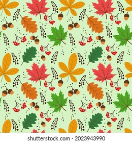 Vector seamless pattern with autumn elements: acorns, various leaves, autumn floral elements. Bright, repetitive texture for the autumn season. It is used for wrapping paper,packaging,wallpaper,books.