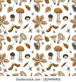 Vector seamless pattern with Autumn forest plants and flowers, mushrooms, leaves on white background