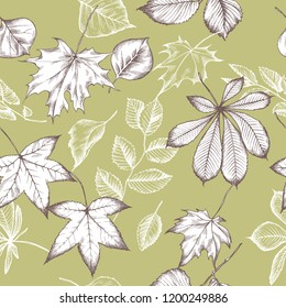 Vector seamless pattern of autumn pattern. Hand drawn vector illustration