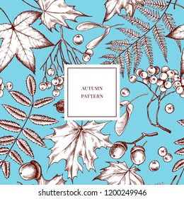 Vector seamless pattern of autumn pattern. Hand drawn vector illustration