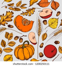 Vector seamless pattern of autumn pattern. Hand drawn vector illustration