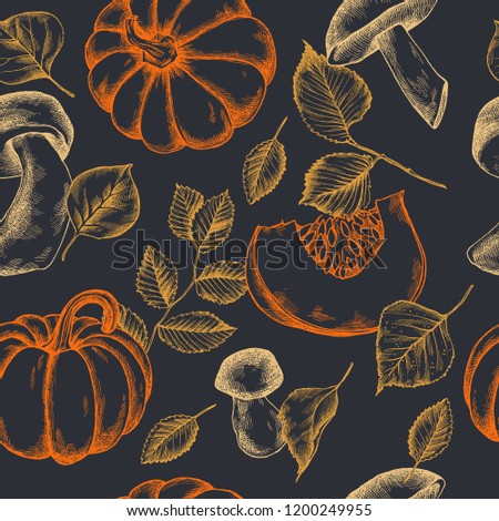Vector seamless pattern of autumn pattern. Hand drawn vector illustration