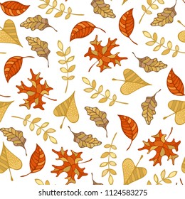 Vector seamless pattern of autumn leaves. Maple, oak, rowan, ash and linden leaves on white background. Fall boundless background. Tileable elements.