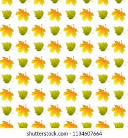 Vector seamless pattern with autumn leaves.
