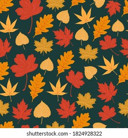 Vector seamless pattern of autumn leaves on a dark green background. Flat illustration.