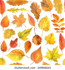 Vector Seamless Pattern With Autumn Leaves Drawing By Watercolor, Hand Drawn Elements