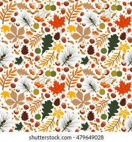 Vector seamless pattern with autumn leaves and berries isolated on white background
