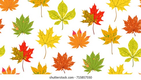 Vector seamless pattern autumn leaves on a white background