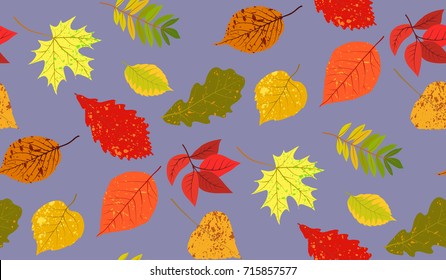 Vector seamless pattern autumn leaves