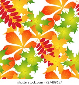 vector seamless pattern of autumn leaves for cards, backgrounds, price labels