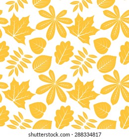 Vector seamless pattern with autumn outline leaves of different trees on a white background. Eps 10.