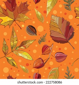 Vector seamless pattern with autumn set leaves, nuts, tree. Background with Thuja; aspen; physalis; alder; elm; willow; maple. eps 10