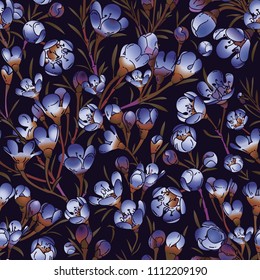 Vector seamless  pattern, background with Chamelaucium Uncinatum (waxflower) flowers.
Hand drawn doodle  illustration.
