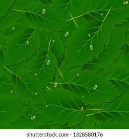 Vector seamless pattern background with green leaves and dew drops.