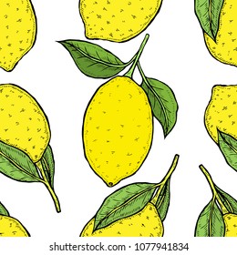 Vector Seamless pattern background Lemon hand drawn sketch. Sketch vector food lemon illustration. Vintage style