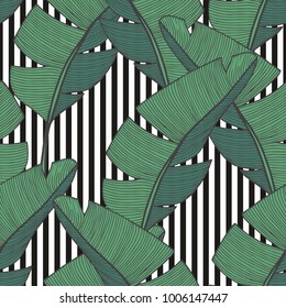 Vector seamless pattern with banana leaves for design and decoration of surfaces