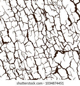 Vector seamless pattern of bark texture. Wood natural structure.