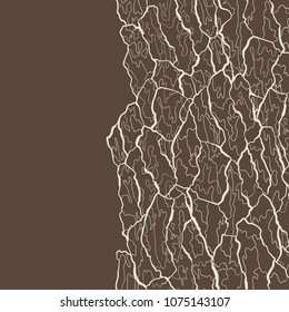 Vector seamless pattern of bark texture. Wood natural structure.