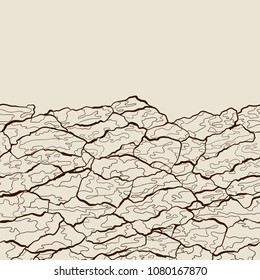 Vector seamless pattern of bark texture. Wood natural structure.