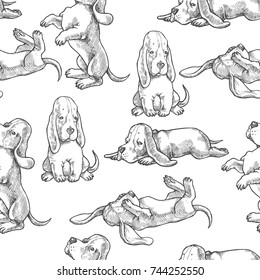 Vector seamless pattern with basset hound puppies. Hand drawn illustration with cute dogs isolated on white background. Animal characters in sketch style