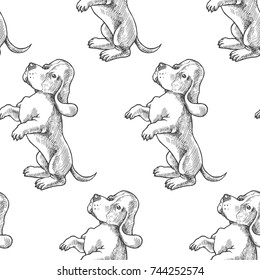 Vector seamless pattern with basset hound puppies. Hand drawn illustration with cute dogs isolated on white background. Animal character in sketch style