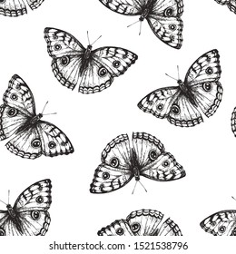 Vector seamless pattern with beautiful butterfly in engraving style. Hand drawn texture with nymphalid isolated on white.
