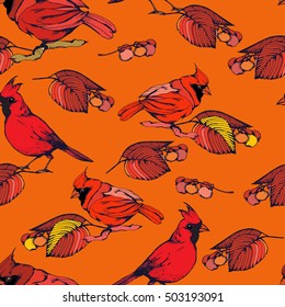 Vector seamless pattern with beautiful cardinals. Vector illustration.