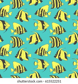 Vector seamless pattern with beautiful fishes, coral fish hand drawn colorful illustration. Sketch with different fishes, marine animals