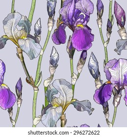 Vector Seamless pattern with Beautiful iris flowers