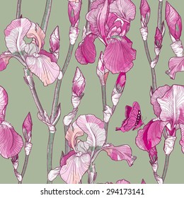 Vector Seamless pattern with Beautiful pink iris flowers
