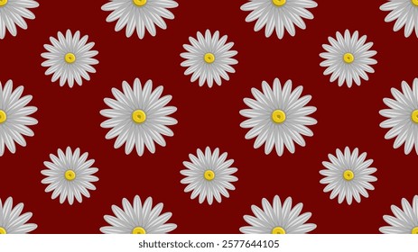 Vector seamless pattern of beautiful White daisy flower blooming. Suitable for background, wrapping, fabric texture pattern. White flower pattern