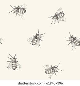 Vector seamless pattern with bee. Vintage hand drawn illustration with insect