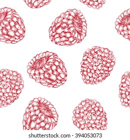 vector seamless pattern of berries. red raspberry. hand drawn illustration