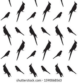 Vector seamless pattern of black budgie and cockatiel parrot silhouette isolated on white background