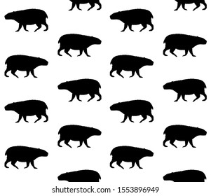 Vector seamless pattern of black capybara silhouette isolated on white background