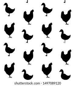 Vector seamless pattern of black chicken and duck silhouette isolated on white background