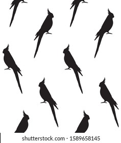 Vector seamless pattern of black corella cockatiel parrot silhouette isolated on white background