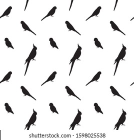 Vector seamless pattern of black different parrots silhouette isolated on white background