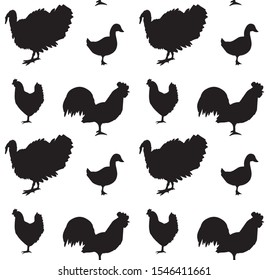 Vector seamless pattern of black domestic birds silhouette isolated on white background