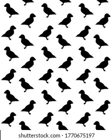 Vector seamless pattern of black hand drawn doodle sketch puffin bird silhouette isolated on white background