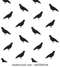Vector seamless pattern of black pigeon silhouette isolated on white background