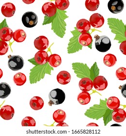 Vector seamless pattern with black and red currents