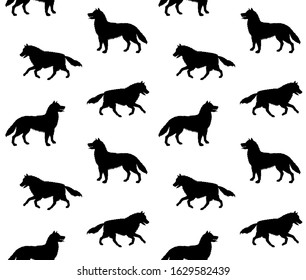 Vector seamless pattern of black running husky dog silhouette isolated on white background