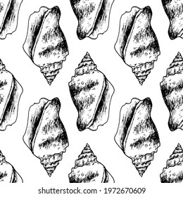 vector seamless pattern of black seashell outline on white background. A hand drawn spiral shell in the style of a sketch vintage symbol of the sea is geometrically positioned for a summer design 