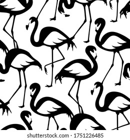 Vector seamless pattern with black and white flamingos