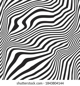 vector of seamless pattern with black and white wavy stripes.Zebra skin