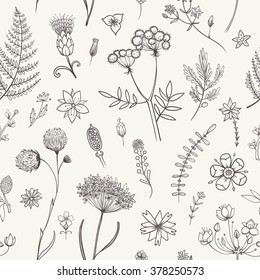 Vector seamless pattern with black and white herbarium flowers. Botanical backdrop