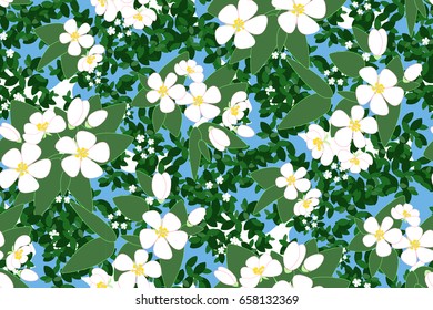 Vector Seamless Pattern with blooming appletree. Flowers and leaves. 