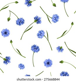 Vector seamless pattern with blue cornflowers on white.