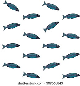 Vector seamless pattern with blue fish on white background
